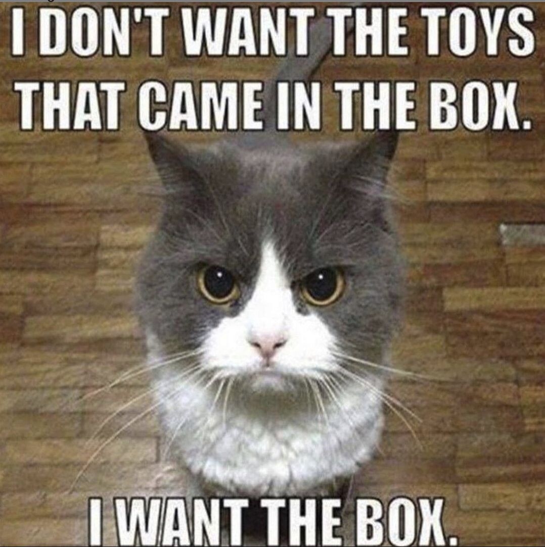 IDONT WANT THE TOYS THAT CAME IN THE BOK b CIWANT THE BOK