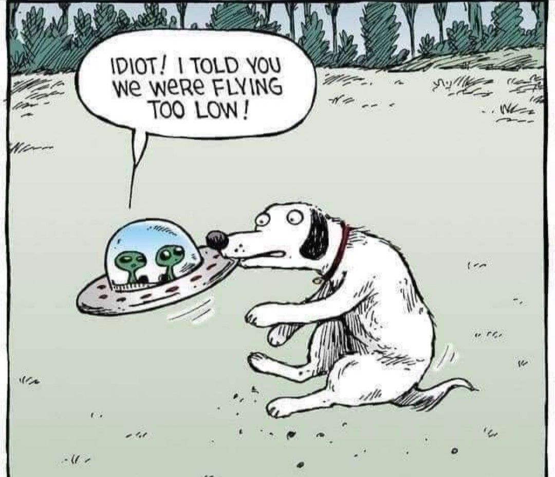 1DI0T 1 TOLD You e WeRe FIYING p bpaatito 55 iy