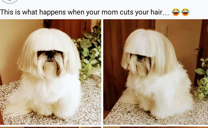 This i what happens when your mom cuts your hair