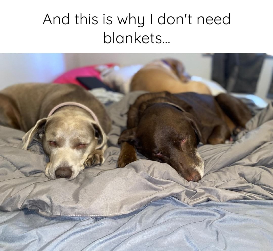 And this is why dont need blankets