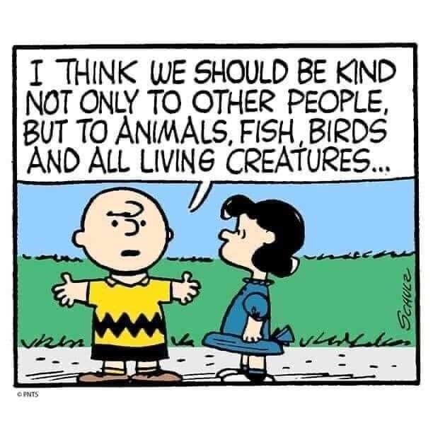 T THINK WE SHOULD BE KIND NOT ONLY TO OTHER PEOPLE BUT TO ANIMALS FISH BIRDS AND ALL LIVING CREATURES