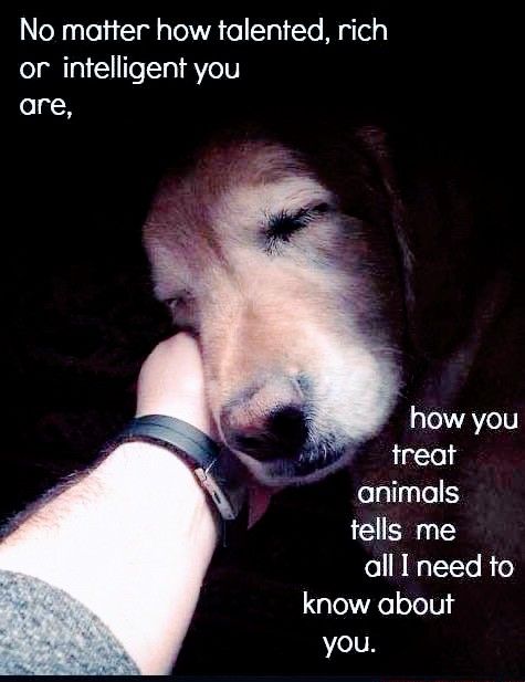 oX 1 To 13 ol g TR o1 Va1 Yo Mgl or intelligent you are how you treat folgllTel tells me all I need to know about you