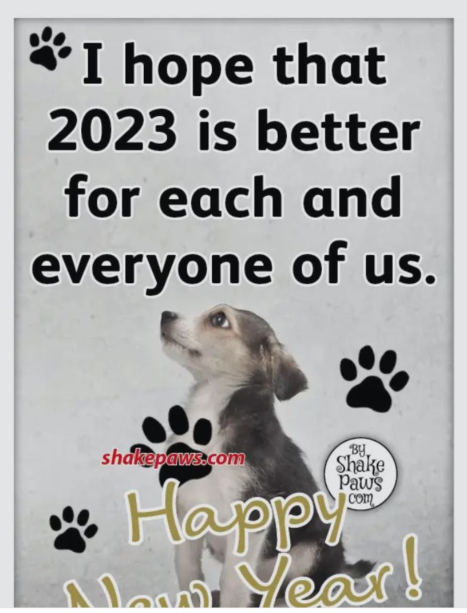 I hope that 2023 is better for each and everyone of us y