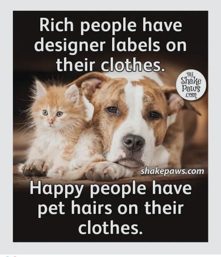 ey WoTTo o N T 1Y de5gner labels on shakepawscom Happy people have pet hairs on their l o