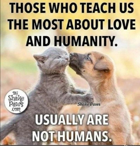 THOSE WHO TEACH us THE MOSABOUT LOVE AND HUMANITY