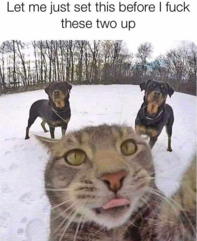 Let me just set this before fuck these two up