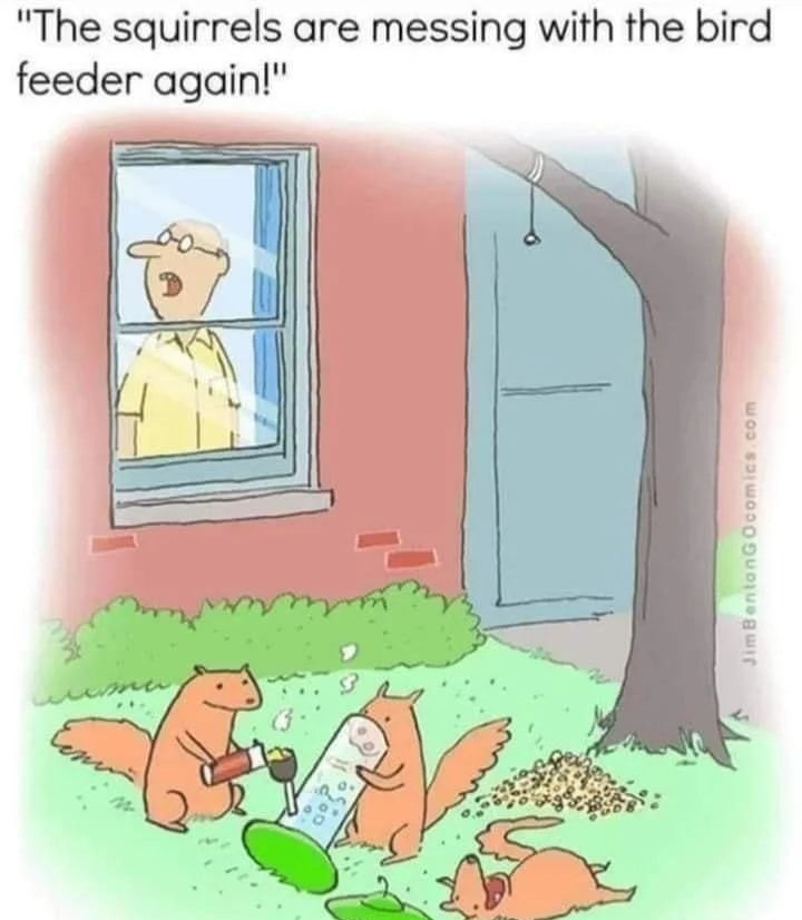The squirrels are messing with the bird feeder again b gs