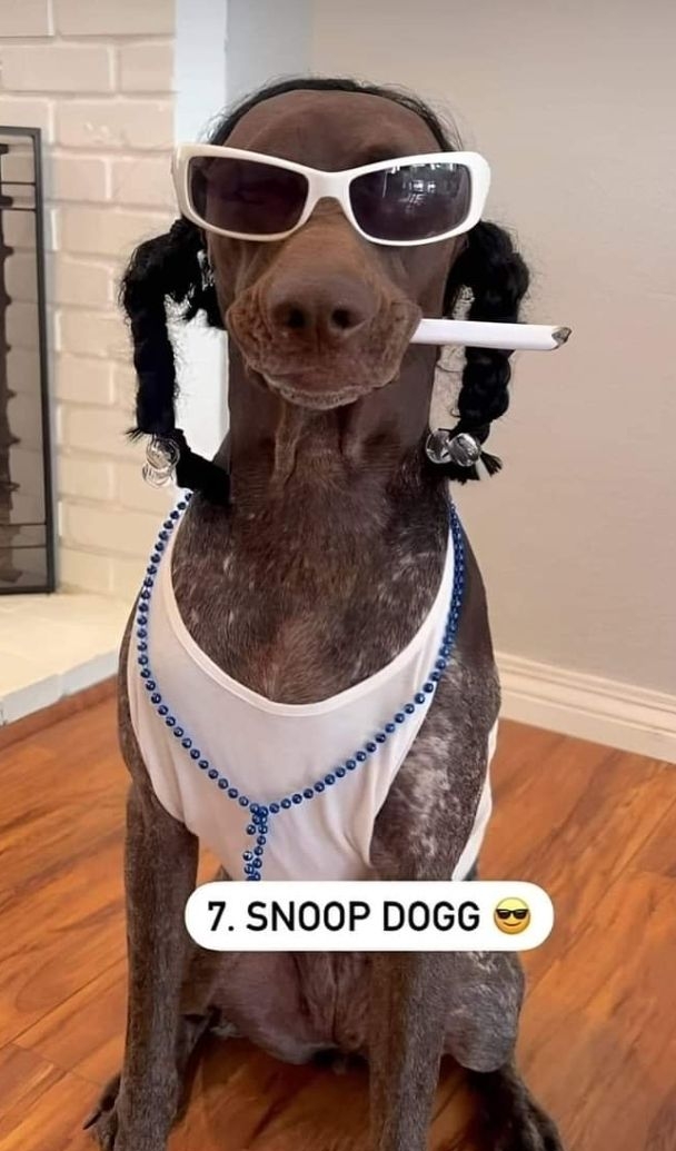 7 SNOOP DOGG