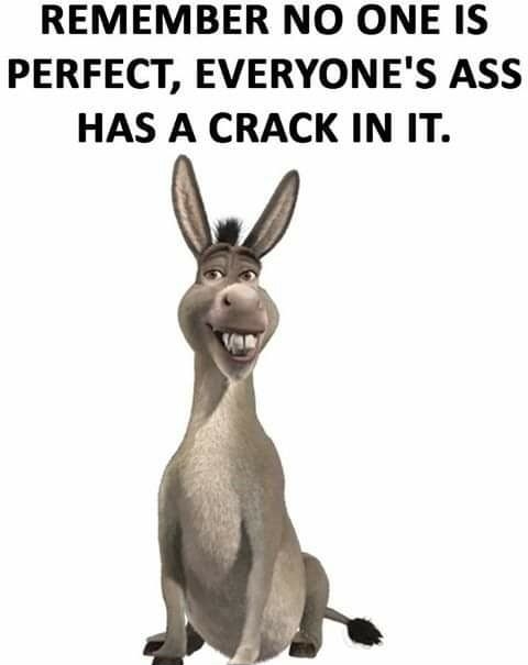 REMEMBER NO ONE IS PERFECT EVERYONES ASS HAS A CRACK IN IT