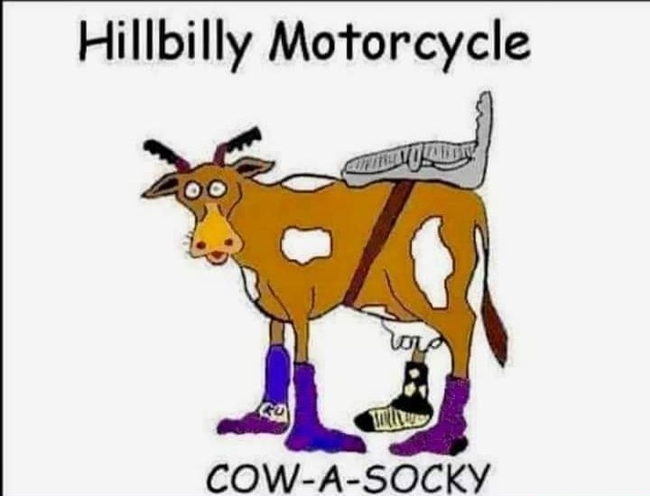 Hillbilly Motorcycle COW A SOCKY