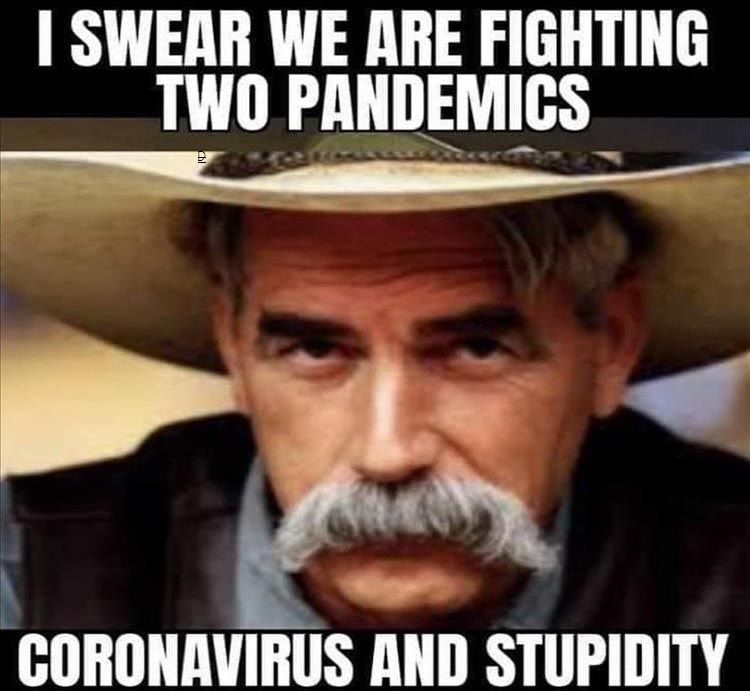 SWERAR WE ARE FIGHTING TWO PANDEMICS E R CORONAVIRUS AND STUPIDITY