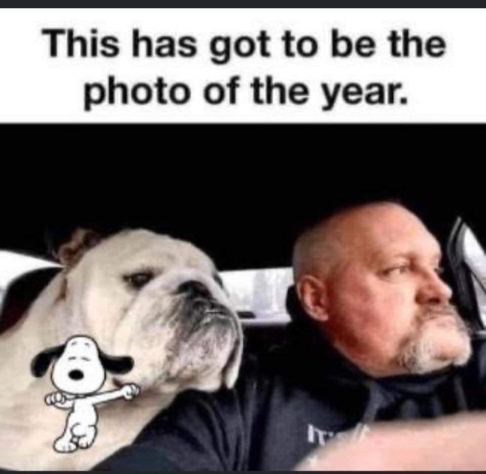 This has got to be the photo of the year