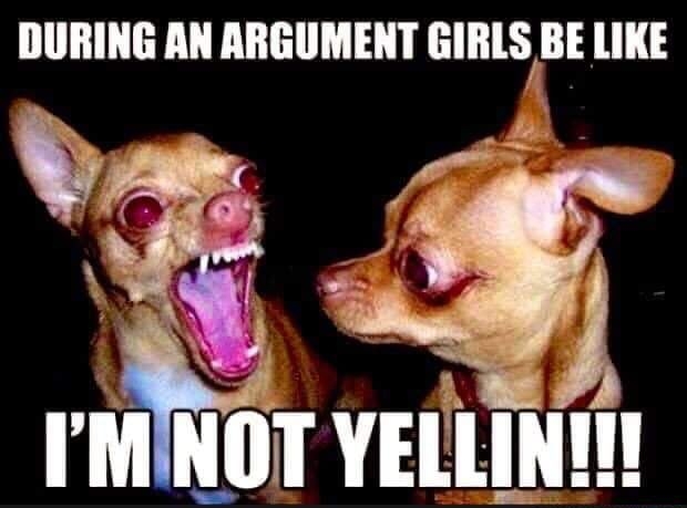 DURING AN ARGUMENT GIRLS BE LIKE N L P IMl YELLINIT