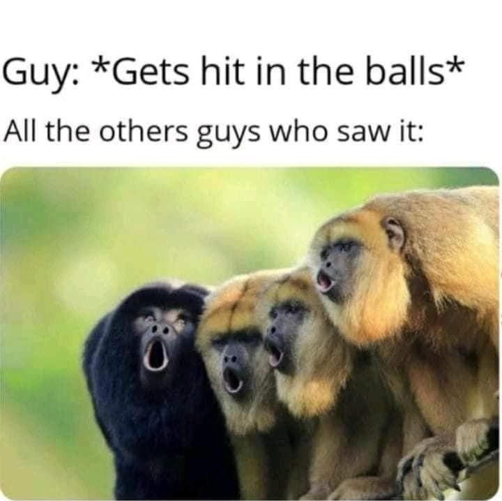 Guy Gets hit in the balls All the others guys who saw it