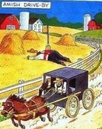 AMISH DRIVE BY AMERICASBESTPICSCOM
