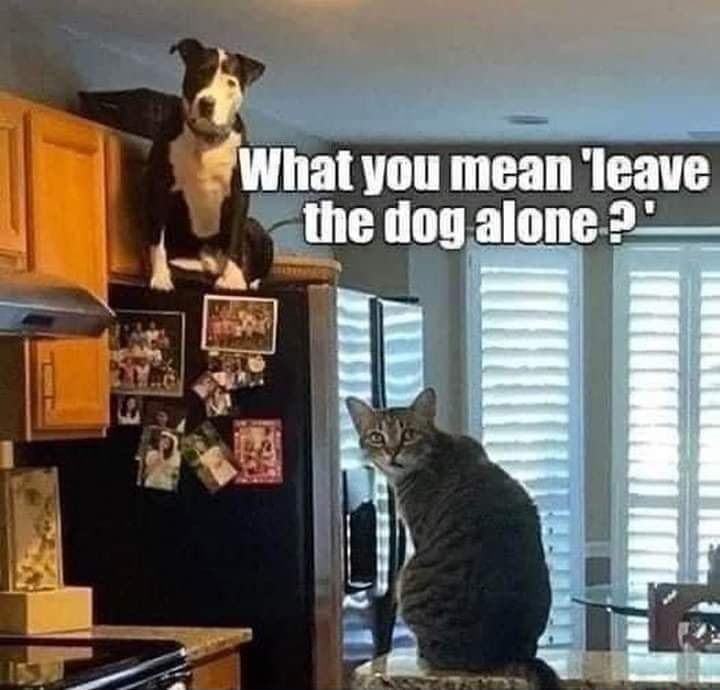 What you mean eave