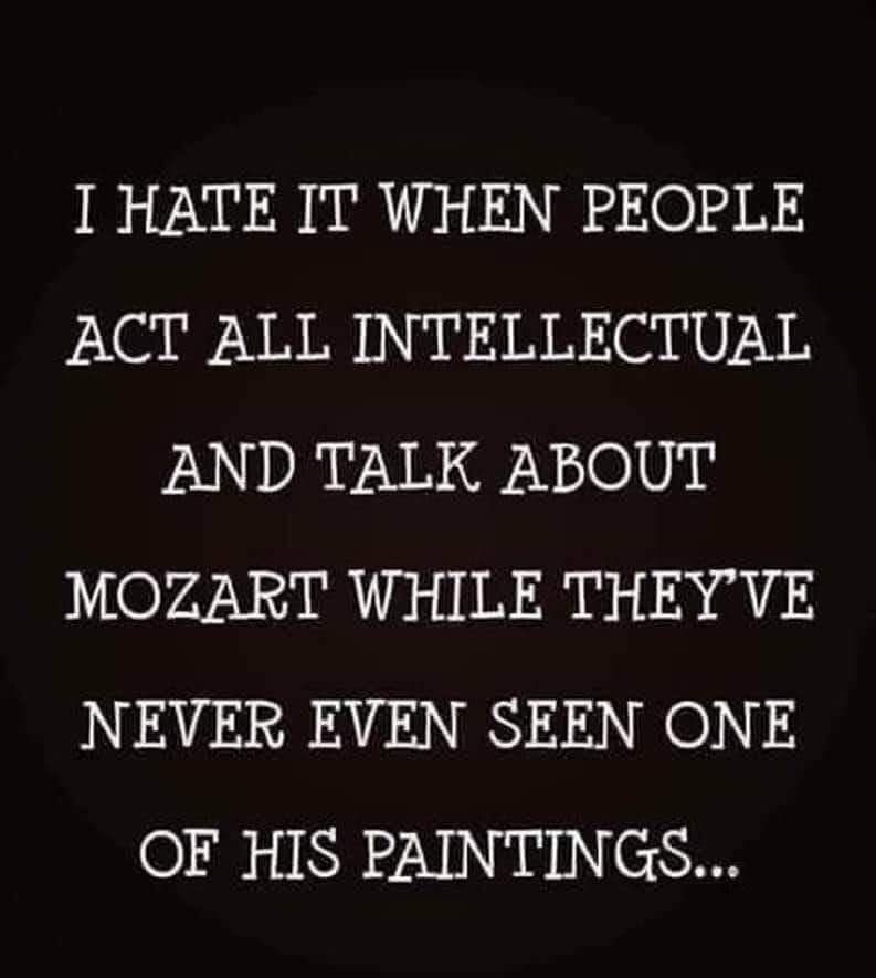 I HATE IT WHEN PEOPLE ACT ALL INTELLECTUAL N DRVAR N Ol MOZART WHILE THEYVE NEVER EVEN SEEN ONE O3 IR 7V HYINCS