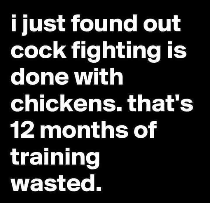 i just found out cock fighting is done with chickens thats 12 months of training ETS T B