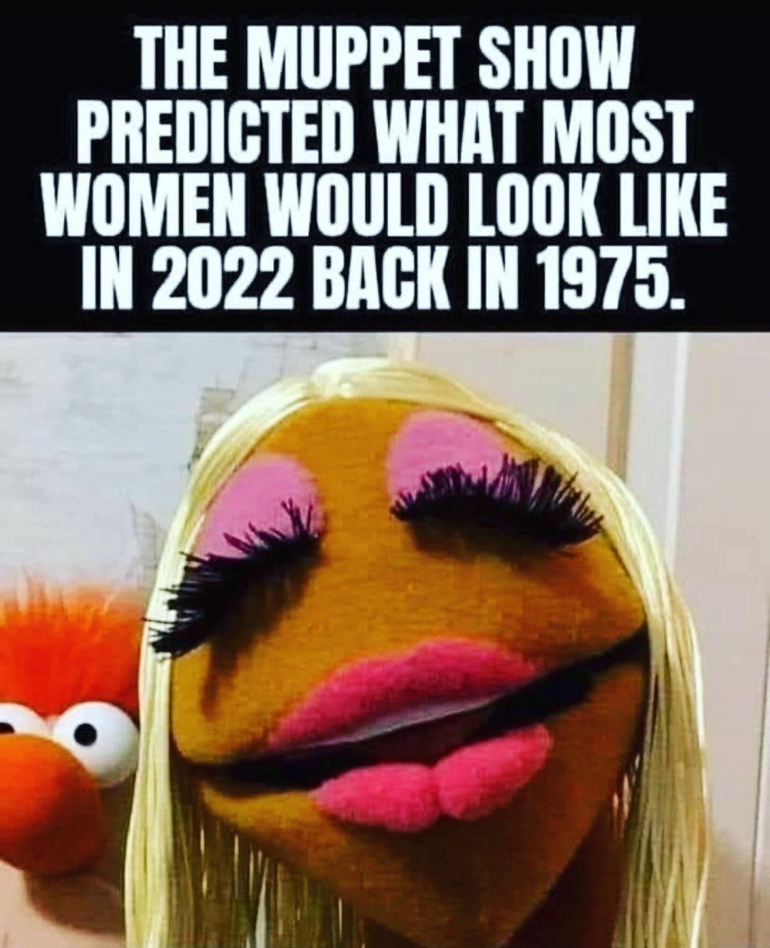 THE MUPPET SHOW PREDICTED WHAT MOST WOMEN WOULD LOOK LIKE IN 2022 BACK IN 1975