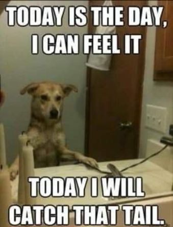 IIIIIAY1 IIIE DAY JH11 FEEl IT S FllMIWllliiv HUH R ALTE