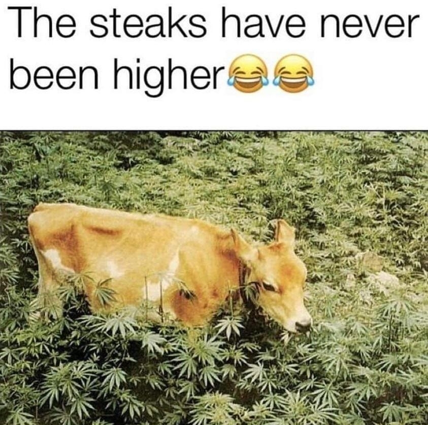 The steaks have never been highere