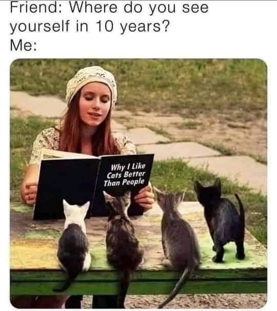 Friend Where do you see yourself in 10 years Me Cats Better Than People N 4 A