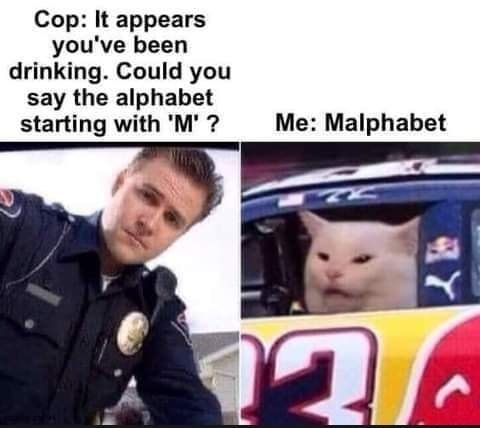 Cop It appears youve been drinking Could you say the alphabet starting with M Me Malphabet
