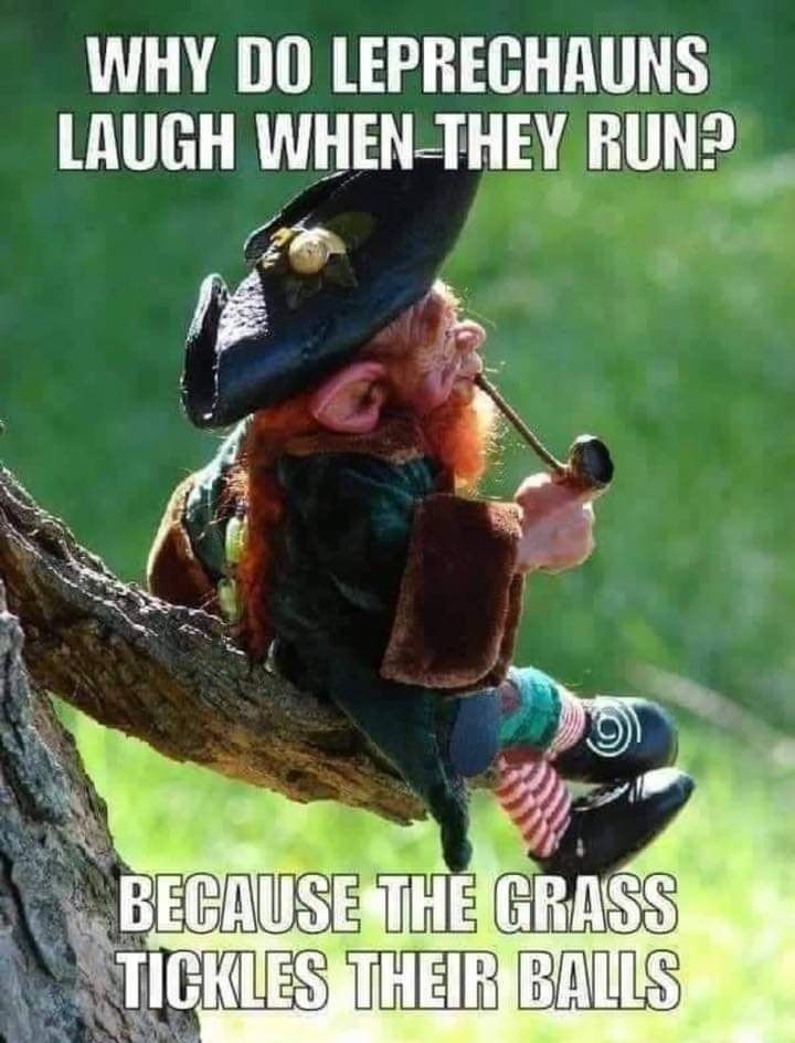 WHY DO LEPRECHAUNS LAUGH WHEN THEY RUN2 _