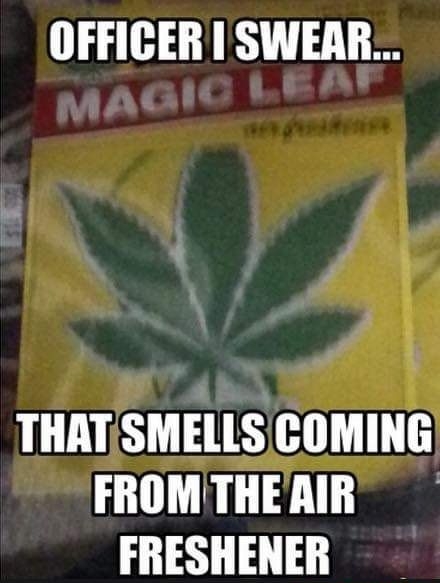 THATSMELLS COMING FROMTHERIR FRESHENER