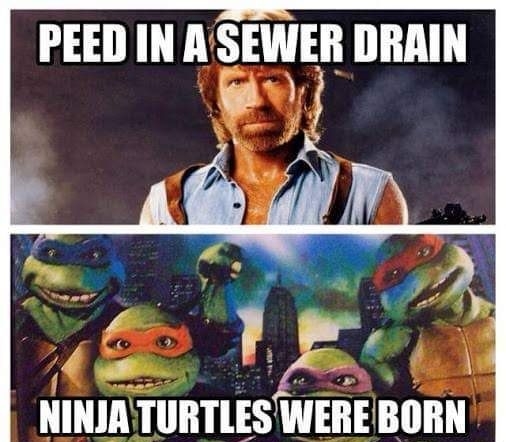 PEEDINA SEEB DRAIN oy