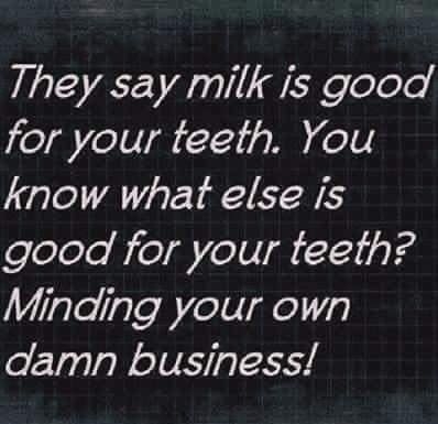 They say milk is good for your teeth You know what else is good for your teeth 1 alelgle B Zel0 Idel7q damn business