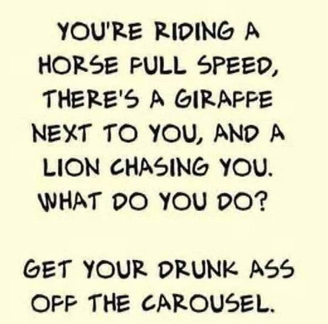 YOURE RIDING A HORSE FULL 5PEED THERES A GIRAFFE NEXT TO YOU AND A LION CHASING YOU WHAT PO YOU PO GET YOUR DRUNK A55 OFF THE CAROUSEL