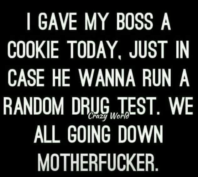 GAVE MY BOSS A COOKIE TODAY JUST IN CASE HE WANNA RUN A RANDOM DRUG TEST WE ALL GOING DOWN MOTHERFUCKER