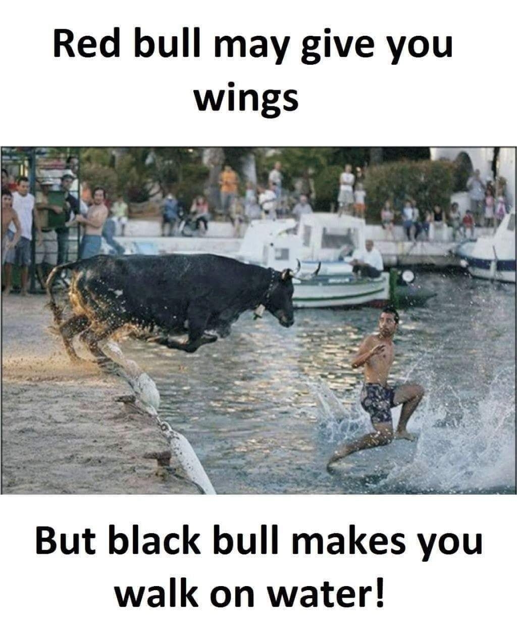 Red bull may give you But black bull makes you walk on water