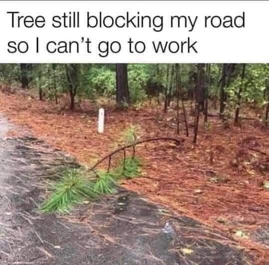 Tree still blocking my road so can t go to work