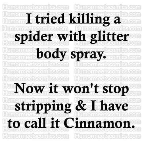 I tried killing a spider with glitter body spray Now it wont stop stripping I have to call it Cinnamon