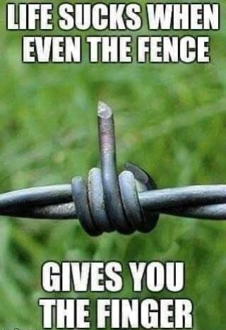 LIFESUCKS WHEN EVEN THE FENCE R finglipicom E T
