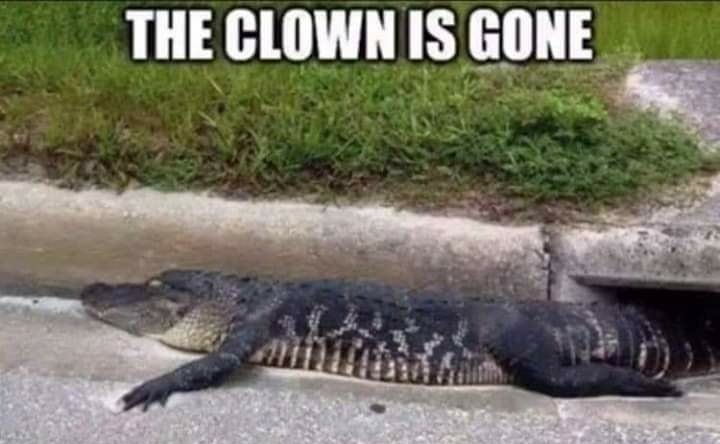 THE CLOWN IS GONE