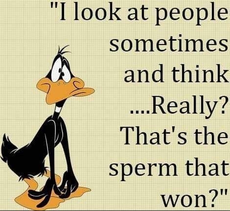 I look at people sometimes and think Really Thats the sperm that won