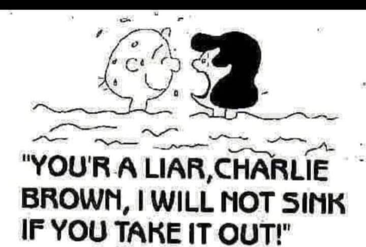 R e YOUR A LIARCHARLIE BROWN WILL NOT SINK IF YOU TAKE IT QUT