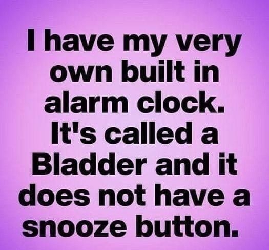 I have my very own built in alarm clock Its called a Bladder and it does not have a snooze button P