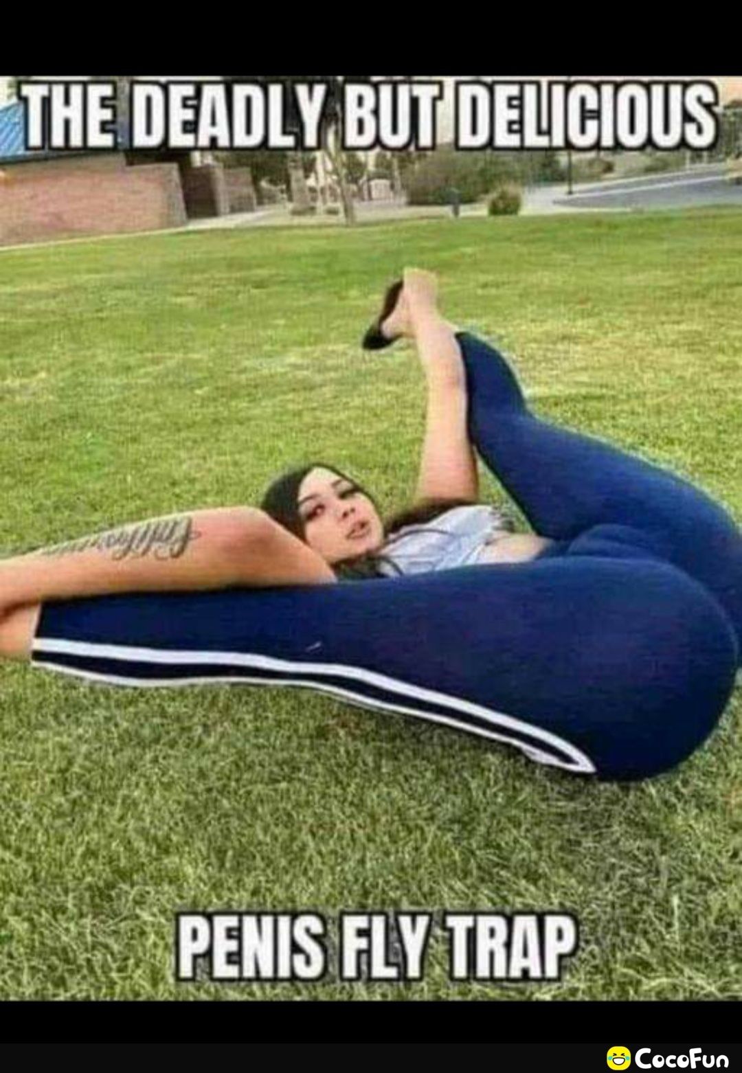 THEEIIEAIILY_BllllllclllllS