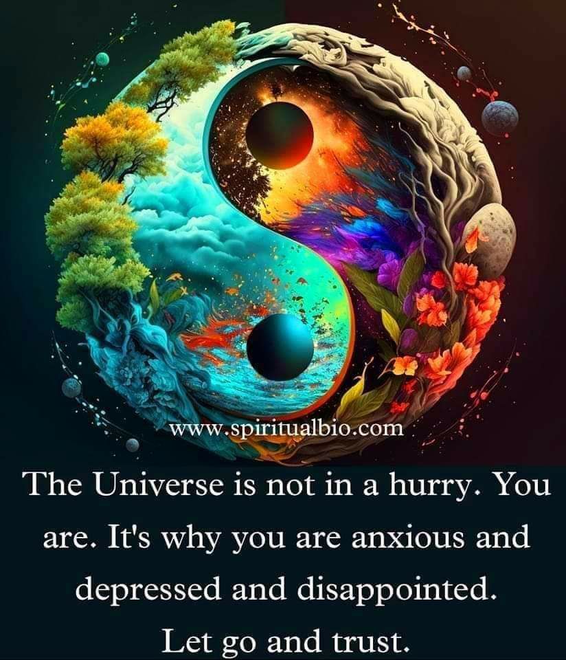 R The Universe is not in a hurry You are Its why you are anxious and depressed and disappointed Let go and trust