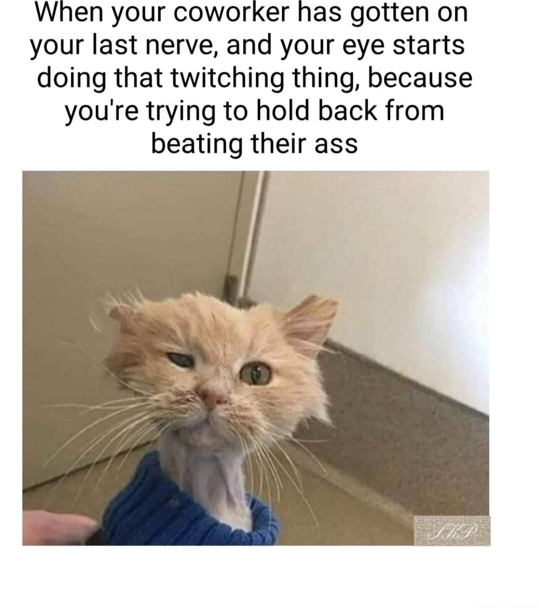 When your coworker has gotten on your last nerve and your eye starts doing that twitching thing because youre trying to hold back from beating their ass