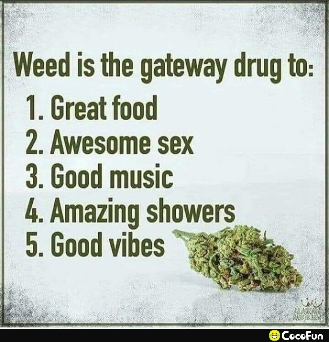 Eps Weed is the gateway drug to 1 Great food 2 Awesome sex 3 Good music 4 Amazing showers 5 Good vibes