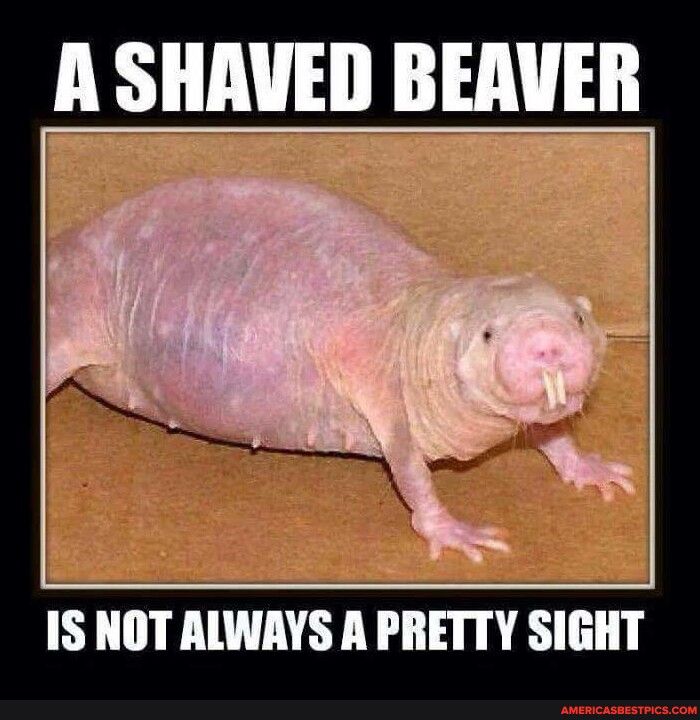 IS NOT ALWAYS A PRETTY SIGHT