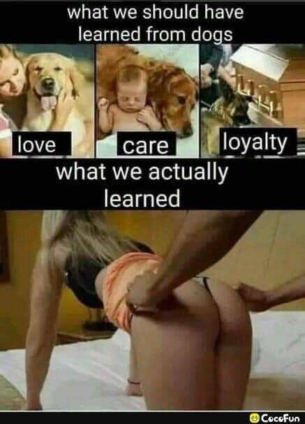 what we should have learned