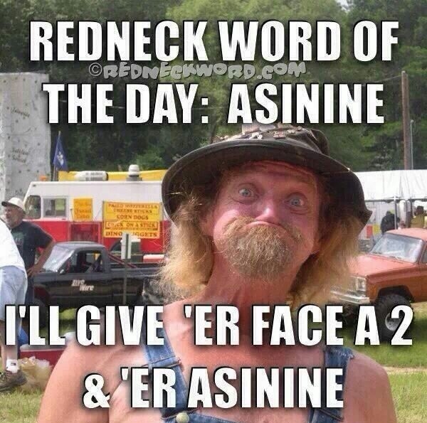 REDNECK WORD 1 3 O REDNECHAWORDCOM THE DAY ASININE r i FLLGIVERER FACEA 2 RGERMSININE nnnnnnn o