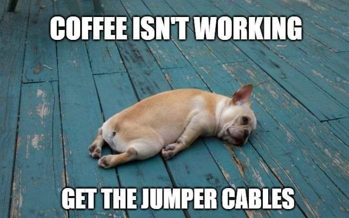 COFFEE ISNTWORKING GET THE JUMPER CABLES CocoFun