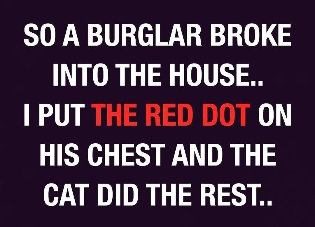 S0 A BURGLAR BROKE LR 015 PUT THE RED DOT ON HIS CHEST AND THE CAT DID THE REST CocoFun